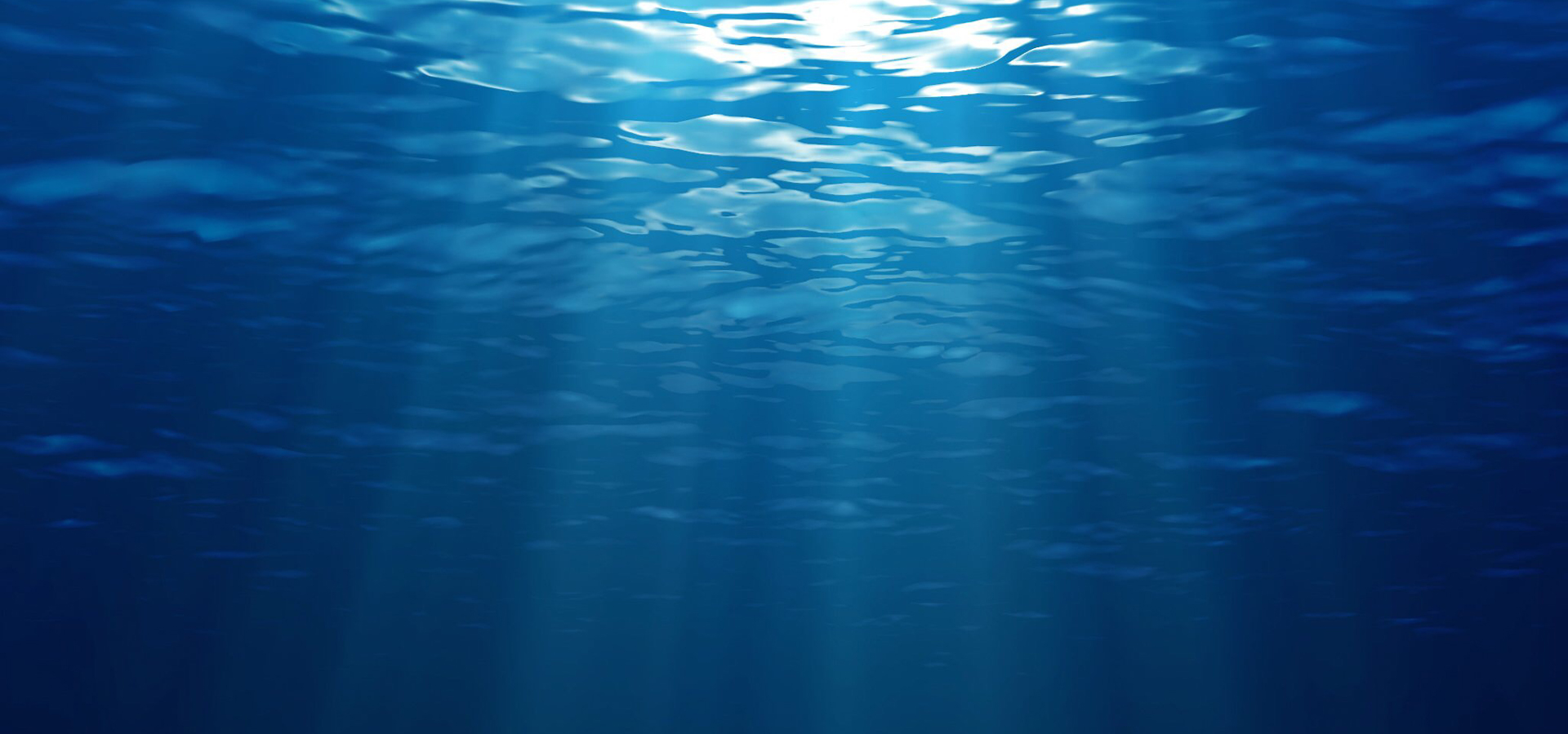 Bautizos Camino de Vida 2019, Hidalgo México